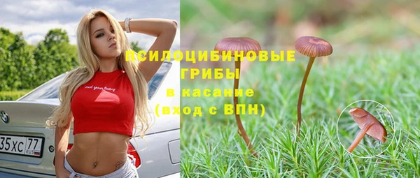 МДПВ Абаза